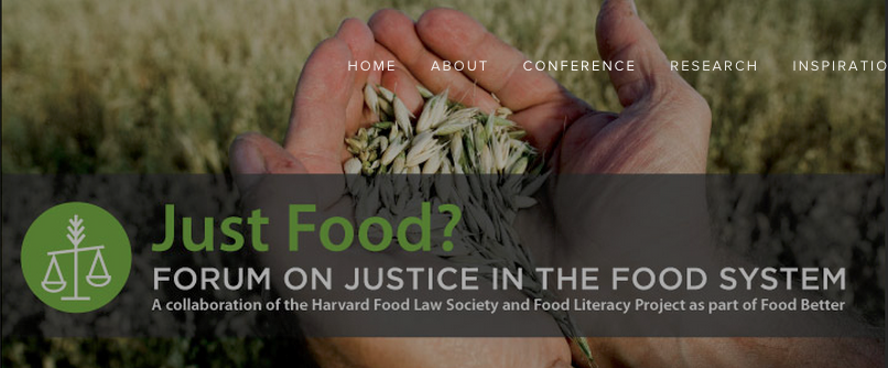 image of hands holding grains